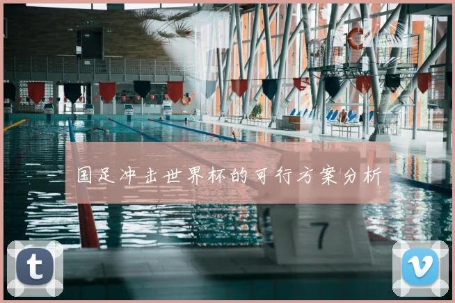 国足冲击世界杯的可行方案分析